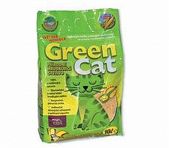 green-cat01.jpg